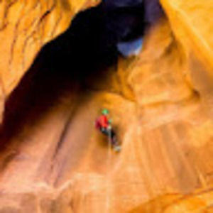 Meet your Posher, Kathryn